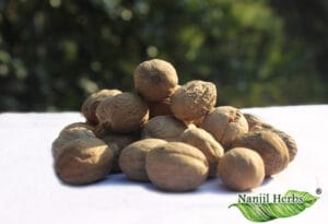 Jathikai / Nutmeg Dried [Raw] - 100 gram