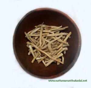 Thaneer Vittan Kilangu / Shatavari Dried Root [Raw]