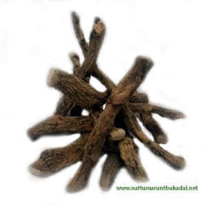 Vasambu / Calamus Root [Raw]