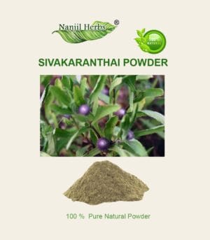 Siva karanthai Powder