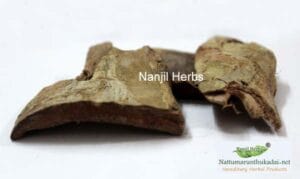 Aalam pattai / Banyan Tree Bark Dried [Raw]