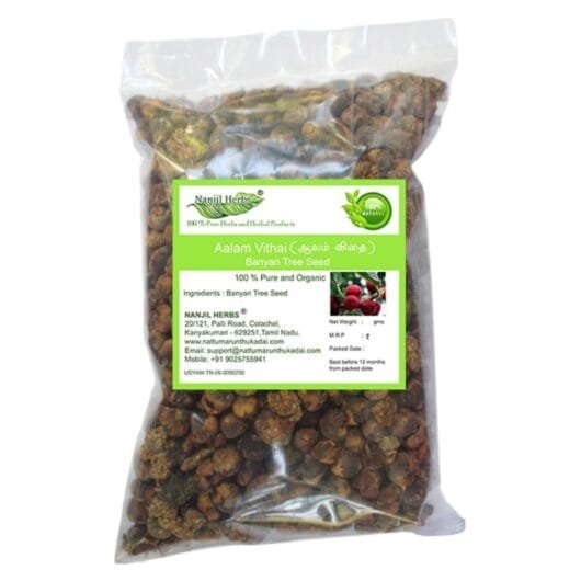 Aalam Vithai | Banyan Tree Seed Dried [Raw] – Nattu Marunthu Kadai