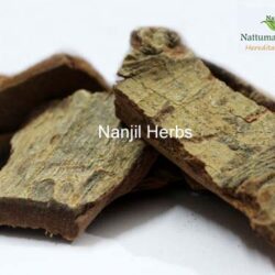 Arasam pattai / Sacred Fig Bark [Raw] - 100 grams