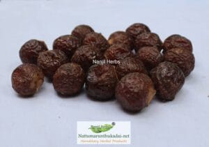 Boondi Kottai / Soapnut Dried [Raw]