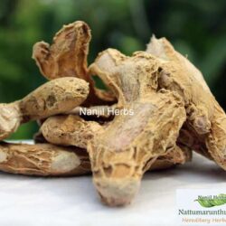 Chukku / Dried Ginger [Raw]