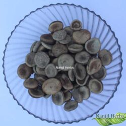Etti Kottai / Nux Vomica Nut [Raw]