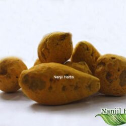 Gundu Manjal / Turmeric [Raw]