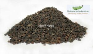 Karboga Arisi / Babchi Dried Seed