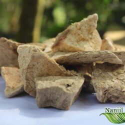 Paal Muthukkan Kizhangu / Indian kudzu [Raw]