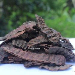 Shikakai / Soap Pod Dried [Raw]