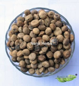 Thetran Kottai / Clearing Nut Dried  [Raw]