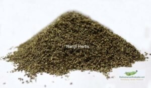 Omam / Ajowan Caraway Dried [Raw] - 100 grams