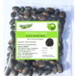 Poonaikali Vithai | Velvet Bean Dried Seed [Raw]