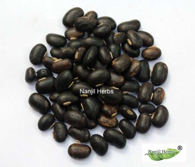Poonaikali Vithai | Velvet Bean Dried Seed [Raw] - Image 2