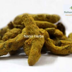 Virali Manjal / Turmeric [Raw]