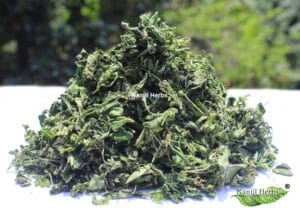 Kuppaimeni ilai / Indian Nettle Dried Leaves [Raw]