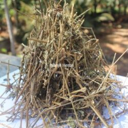 Nayuruvi / Chaff Flower Dried [Raw]