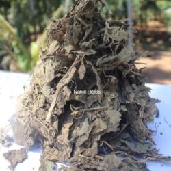 Pachilai / Aruvatham Pachai / Common rue [Raw]