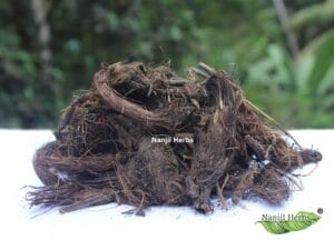 Jadamanji / Sadamanji / Spikenard Dried Root [Raw]