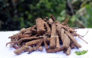 Karuda Kodi / Indian Birthwort Dried [Raw]