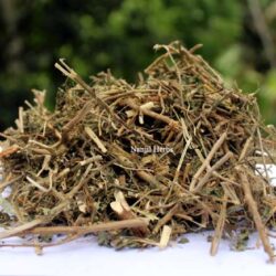 Kurunthotti | Country Mallow [Raw]