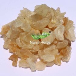 Badam Pisin | Almond Tree Gum