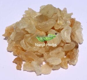 Badam Pisin / Almond Tree Gum