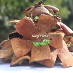 Mathulai Thol / Pomegranate Dried Shell [Raw]