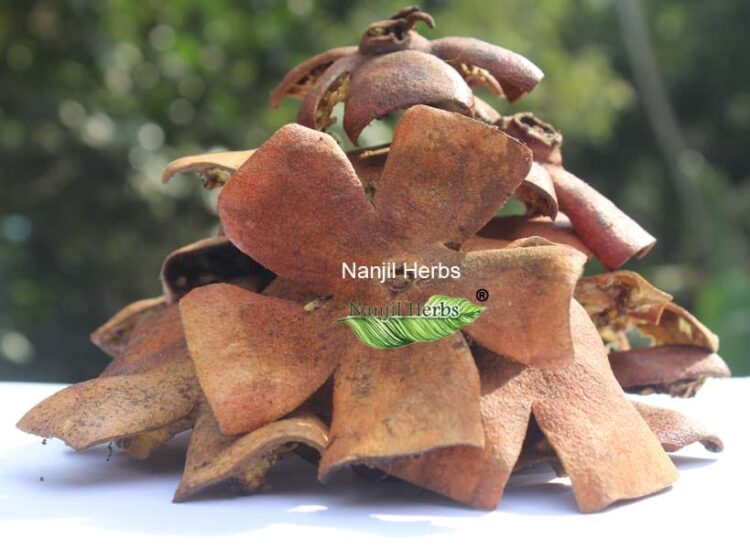 Mathulai Thol / Pomegranate Dried Shell [Raw]
