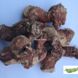 Perarathai | Greater Galangal Root [Raw]