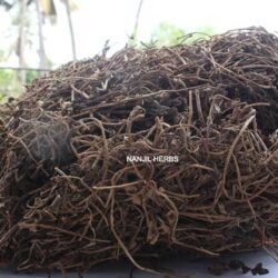 Neer Brahmi | Water Hyssop Dried [Raw]