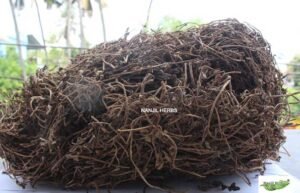 Neer Brahmi | Water Hyssop Dried [Raw]