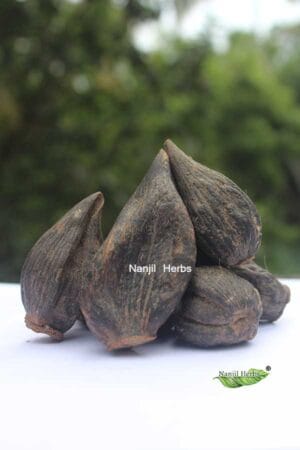 Salamisiri Palam / Salep Orchid Fruit Dried [Raw]