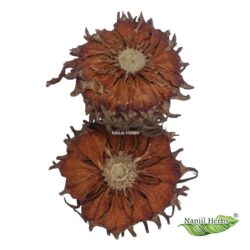 Madhana kama Poo / queen sago [Raw]