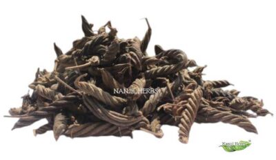 Valampuri kaai | Edampuri kaai Dried [Raw]